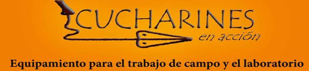 Cucharines en accion