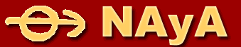 NAYA - Noticias de Antropologia y Arqueologia